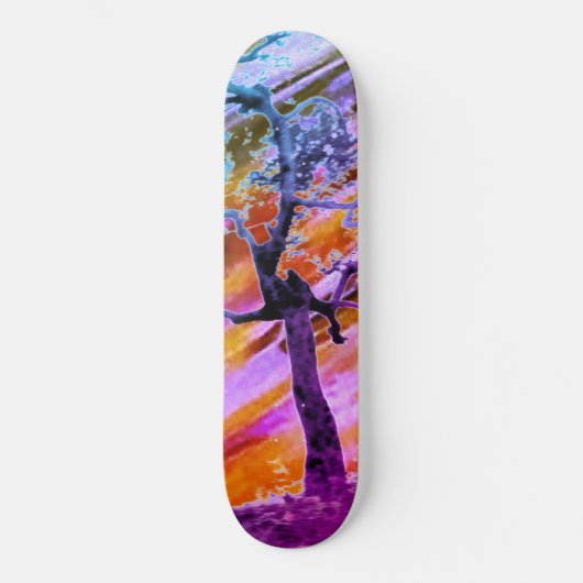 STYLE ET DESIGN SKATEBOARD (Recto)