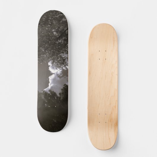 STYLE ET DESIGN SKATEBOARD (Recto)