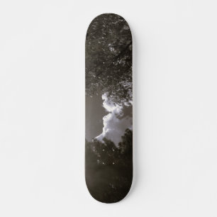 STYLE ET DESIGN SKATEBOARD
