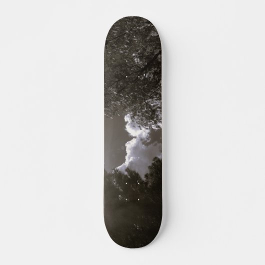 STYLE ET DESIGN SKATEBOARD (Devant)