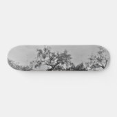 STYLE ET DESIGN SKATEBOARD (Horz)
