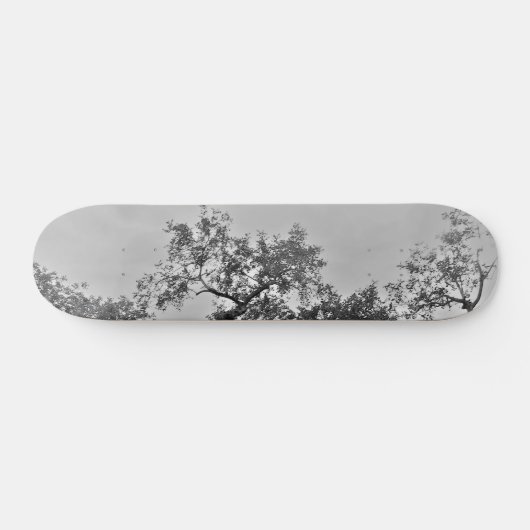STYLE ET DESIGN SKATEBOARD (Horz)