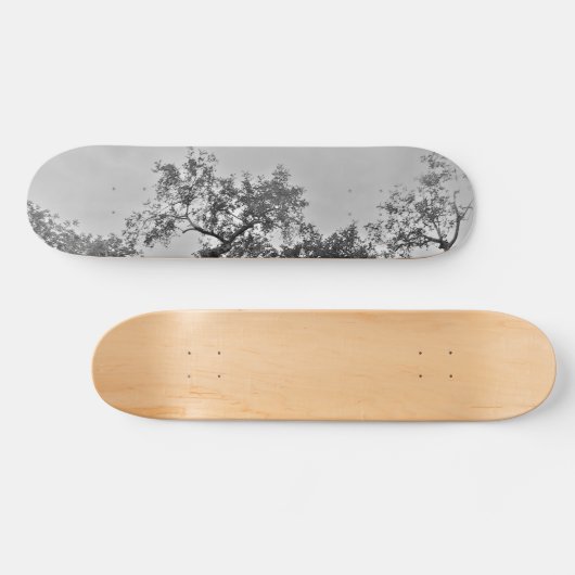 STYLE ET DESIGN SKATEBOARD (Horz)