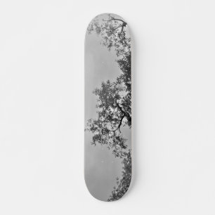 STYLE ET DESIGN SKATEBOARD