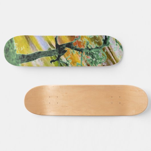 STYLE ET DESIGN SKATEBOARD (Horz)