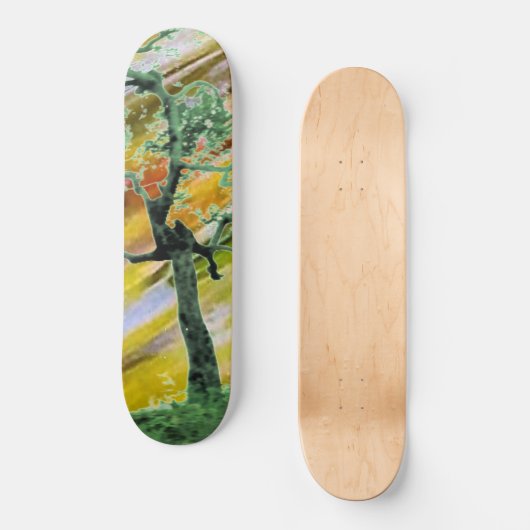 STYLE ET DESIGN SKATEBOARD (Recto)