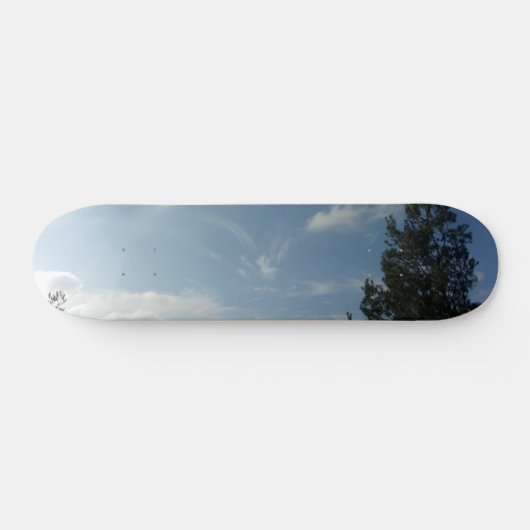 STYLE ET DESIGN SKATEBOARD (Horz)
