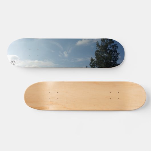 STYLE ET DESIGN SKATEBOARD (Horz)
