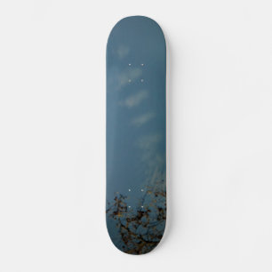 STYLE ET DESIGN SKATEBOARD