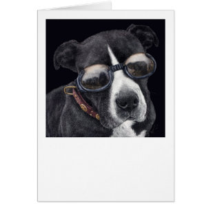 "Style" - Mélange Bully