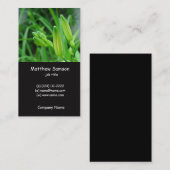 style simple, carte de visite de lys vert (Devant / Derrière)