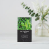 style simple, carte de visite lis vert (Debout devant)