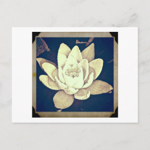 STYLE vintage LOTUS "PHOTOGRAPHIE" CARTE POSTALE