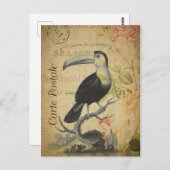 Style vintage Toucan Carte française Postale (Devant / Derrière)