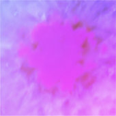 STYLES ART&DESIGN COQUE DE TABLETTE STICKER (Devant)