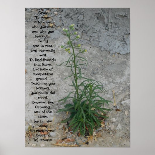 STYLES D'ART ET DE DESIGN POSTER (Devant)