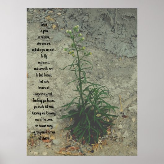STYLES D'ART ET DE DESIGN POSTER (Devant)