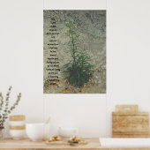 STYLES D'ART ET DE DESIGN POSTER (Cuisine)