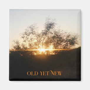 STYLES DE DÉCORATION ART&DESIGN MAGNET