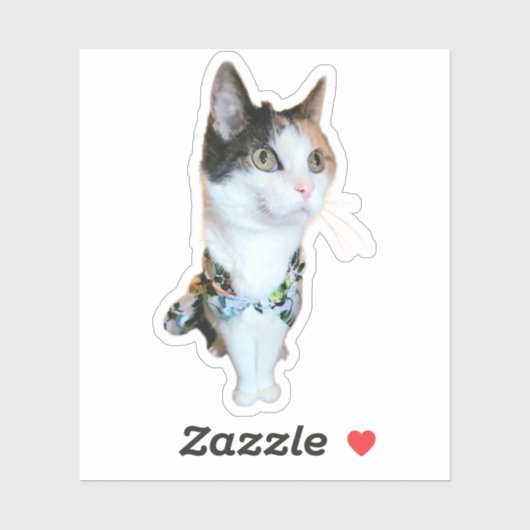 Stylish Cat Funny Sticker (Vel)