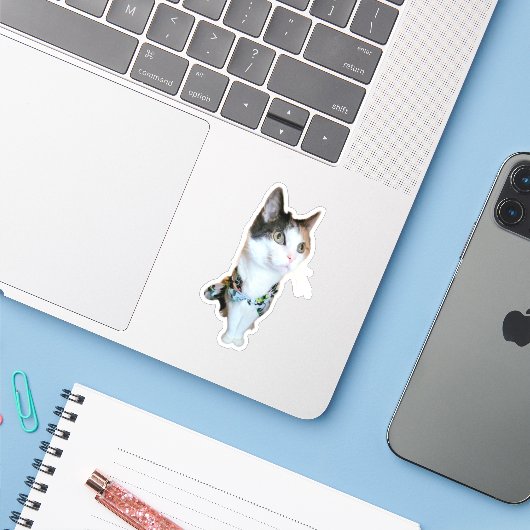 Stylish Cat Funny Sticker (Ordinateur portable avec iPhone)