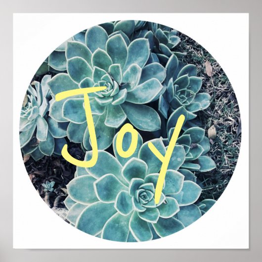 Stylish Pale Green Cactus Succulent Joy Poster (Devant)