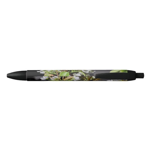 Stylo Noir Corée Cerisiers en fleurs blanches (Dos)