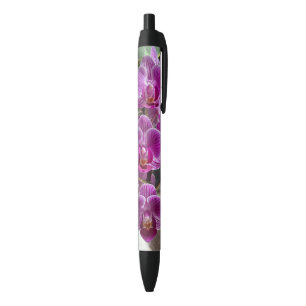 Stylo Noir Mini Phalaenopsis Sogo Vivien Orchidée violet