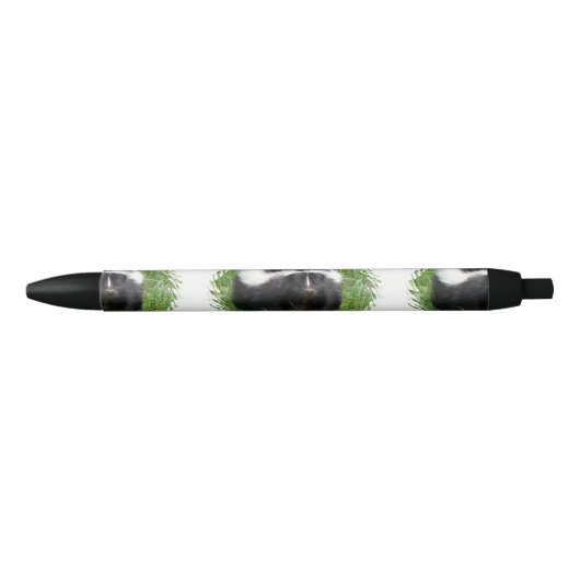 Stylo Noir Mouffette (Devant)