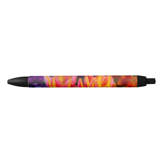 Stylo Noir Tulipes Enchanter 16 (Devant)