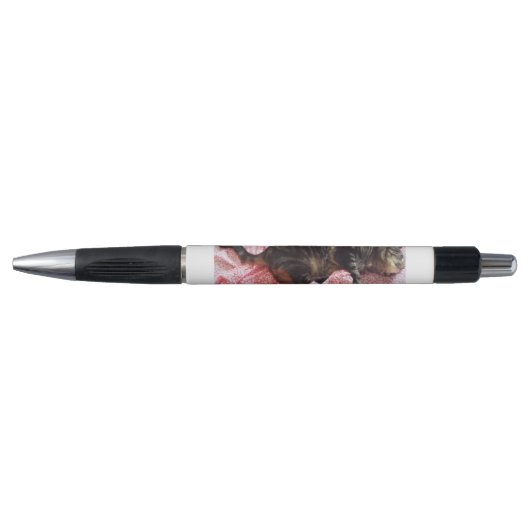 Stylo Tailor Dave Emmy Pen (Devant)