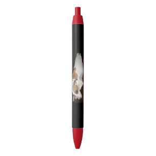 Stylos antiques de secret de Shinese
