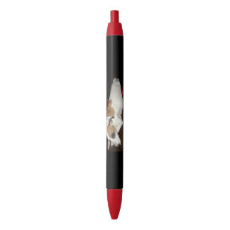 Stylos antiques de secret de Shinese