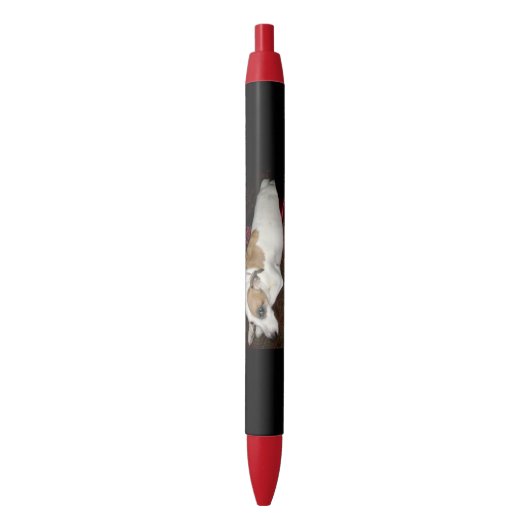 Stylos antiques de secret de Shinese (devant Vertical)