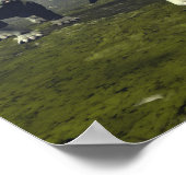 Styracosaurus dinosaurus - 3D rendering Poster (Hoek)