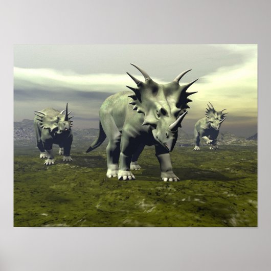 Styracosaurus dinosaurus - 3D rendering Poster (Voorkant)