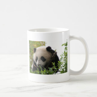 Su Lin, reusachtige panda beer kub in de dierentui Koffiemok