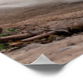 Subaru Rally of China Poster (Hoek)