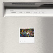 SUBCONCIOUS, Subconciousdaveitdarko.com Magneet (Insitu (Vaatwasser))