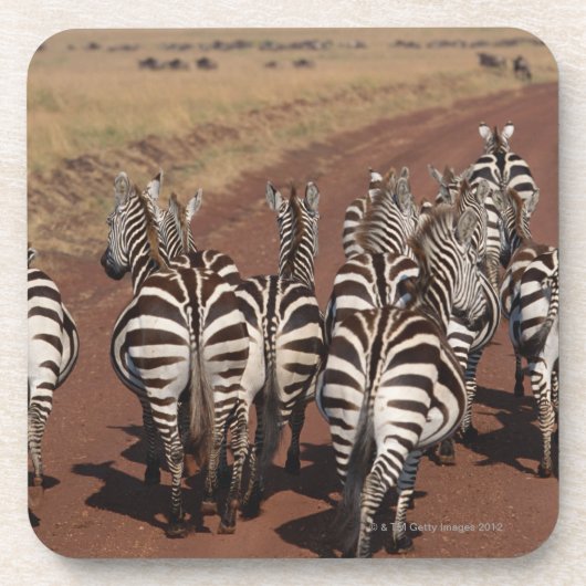 Subsidie Zebra 4 Drankjes Onderzetter (Voorkant)