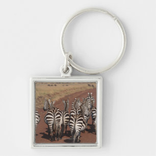 Subsidie Zebra 4 Sleutelhanger