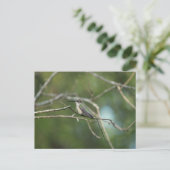 Subtle Beauty Briefkaart (Staand voorkant)