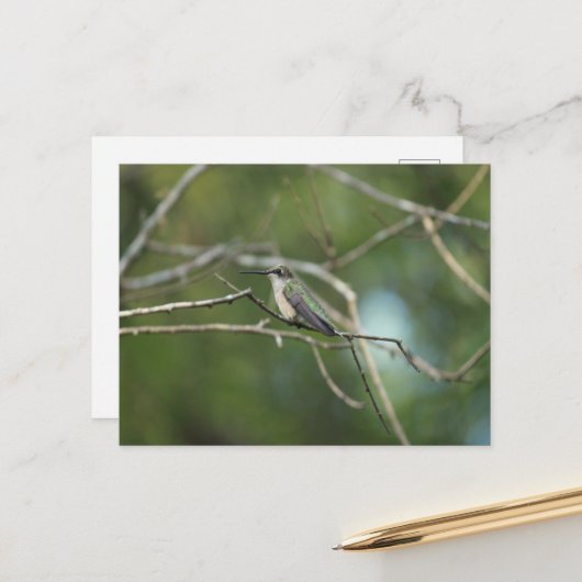 Subtle Beauty Briefkaart (Voorkant / Achterkant in situ)