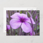 Subtle Paars Briefkaart (Voorkant / Achterkant)