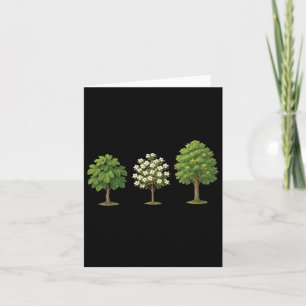 Subtle Tree Anti Trump Shirt Tree Figs Dogwood Tul Kaart