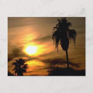 Subtropische zonsondergang briefkaart