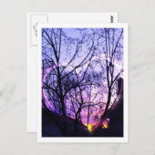 Suburb in Zuid-Californië Briefkaart (Voorkant / Achterkant)