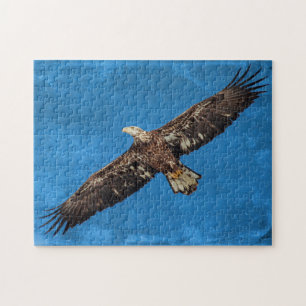 Subvolwassene Bald Eagle tijdens de vlucht Legpuzzel