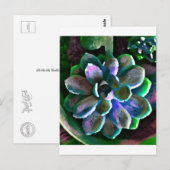 Succes Briefkaart (Voorkant / Achterkant)