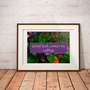 Succes komt door gezegde foto poster te maken